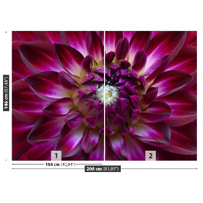 Stenska fototapeta Aster purple