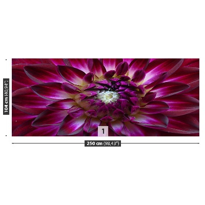 Stenska fototapeta Aster purple