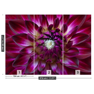 Stenska fototapeta Aster purple