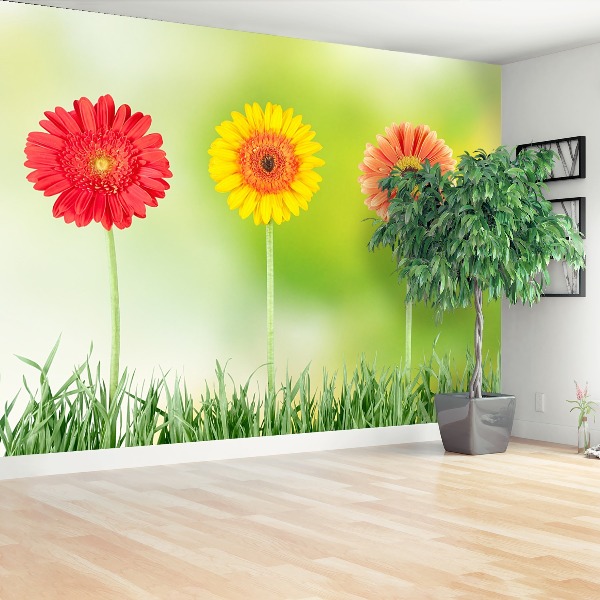Stenska fototapeta Gerbera