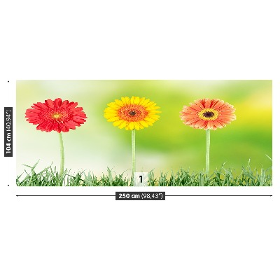 Stenska fototapeta Gerbera