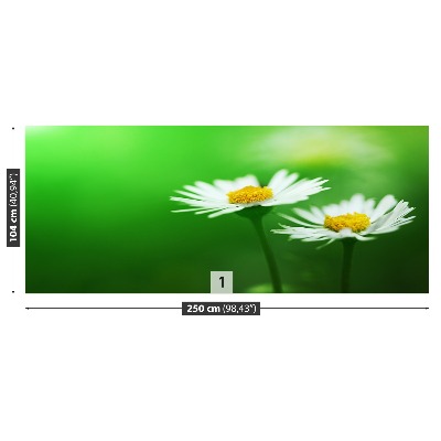 Stenska fototapeta Bele marjetice