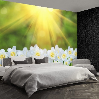 Stenska fototapeta Bela narcissus