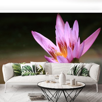 Stenska fototapeta Lotus ribnik