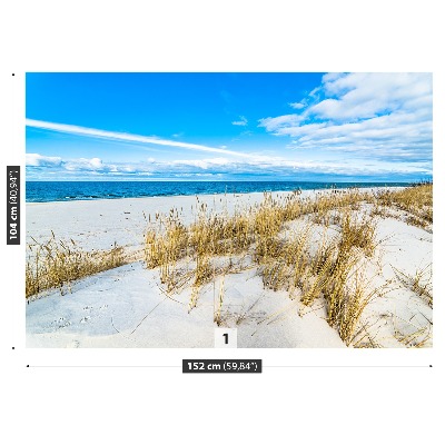 Fototapeta Morski dunes