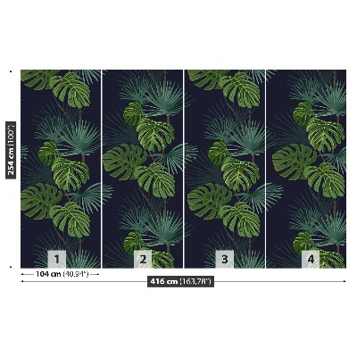Stenska fototapeta Monstera deliciosa