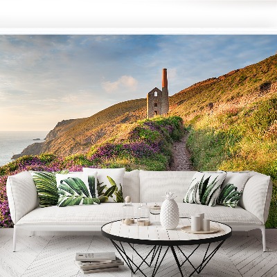 Fototapeta Cornish coast