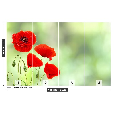 Stenska fototapeta Rdeči mak