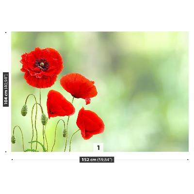 Stenska fototapeta Rdeči mak