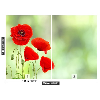 Stenska fototapeta Rdeči mak