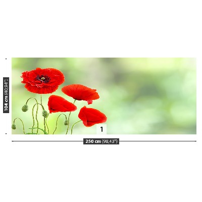Stenska fototapeta Rdeči mak