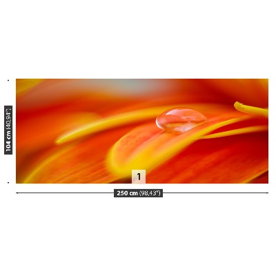 Stenska fototapeta Kapljica vode
