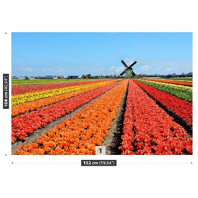 Fototapeta Windmill tulipani