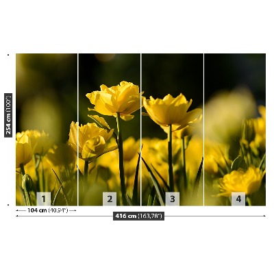 Stenska fototapeta Rumena tulipanov