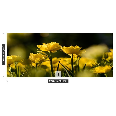 Stenska fototapeta Rumena tulipanov