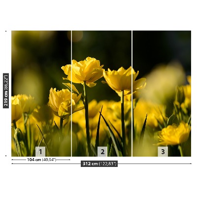 Stenska fototapeta Rumena tulipanov