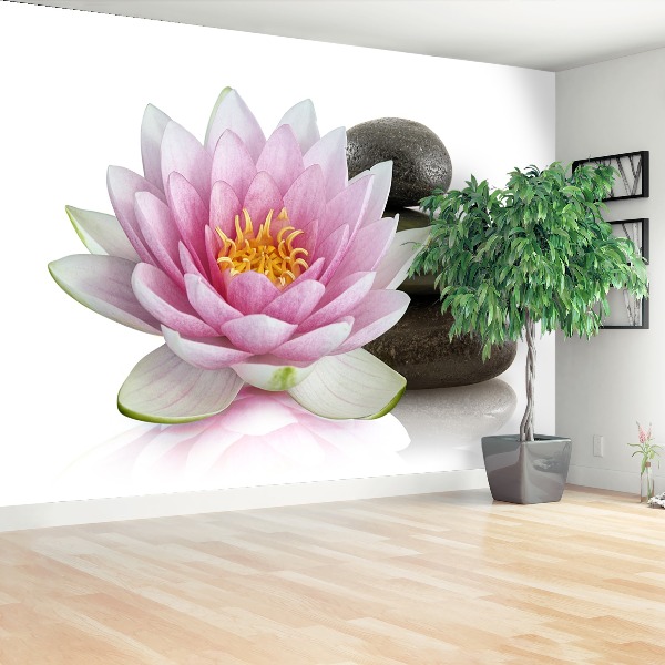 Stenska fototapeta Lotus cvet