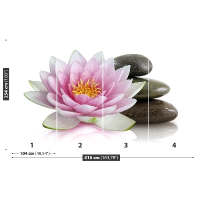 Stenska fototapeta Lotus cvet