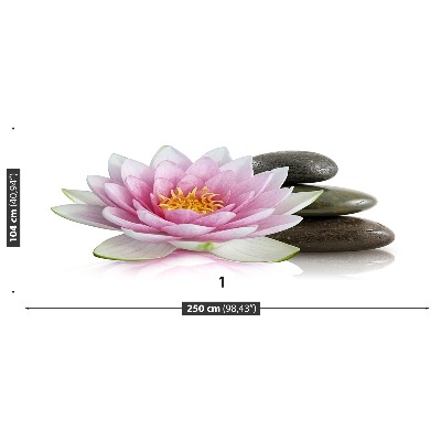 Stenska fototapeta Lotus cvet