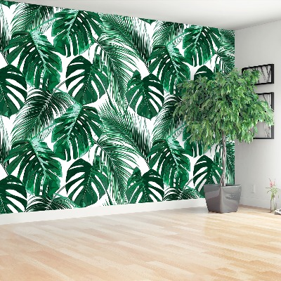 Stenska fototapeta Monstera deliciosa