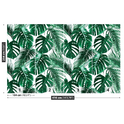 Stenska fototapeta Monstera deliciosa