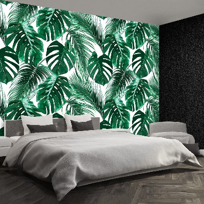 Stenska fototapeta Monstera deliciosa