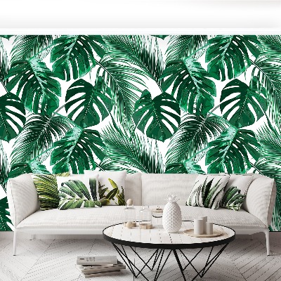 Stenska fototapeta Monstera deliciosa