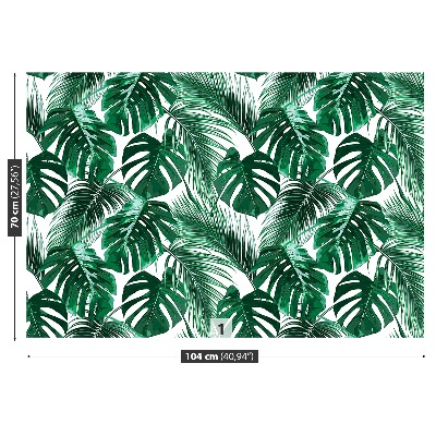 Stenska fototapeta Monstera deliciosa