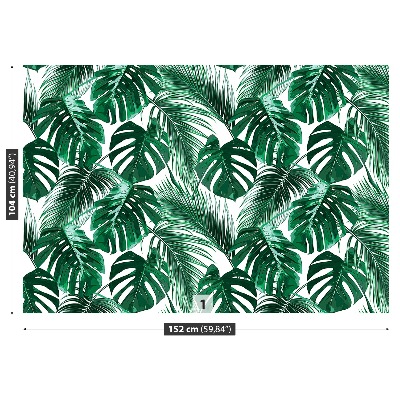 Stenska fototapeta Monstera deliciosa