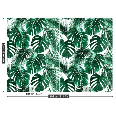 Stenska fototapeta Monstera deliciosa