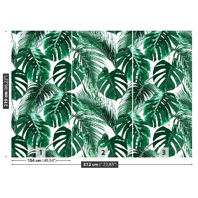 Stenska fototapeta Monstera deliciosa