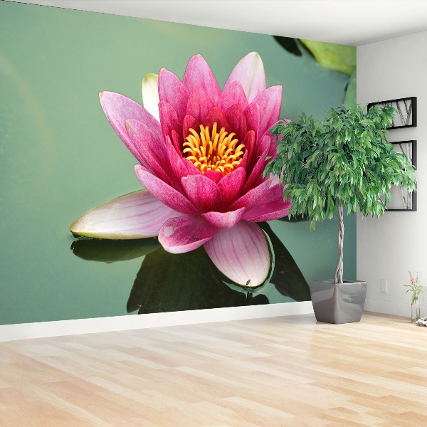 Stenska fototapeta Lotus cvet