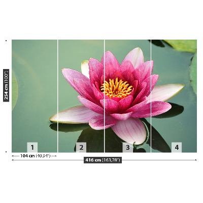 Stenska fototapeta Lotus cvet