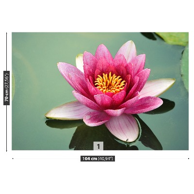 Stenska fototapeta Lotus cvet
