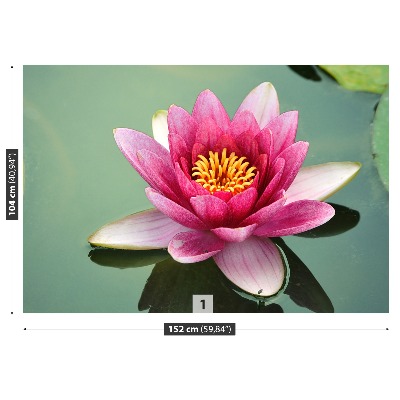 Stenska fototapeta Lotus cvet