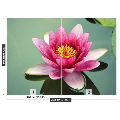 Stenska fototapeta Lotus cvet