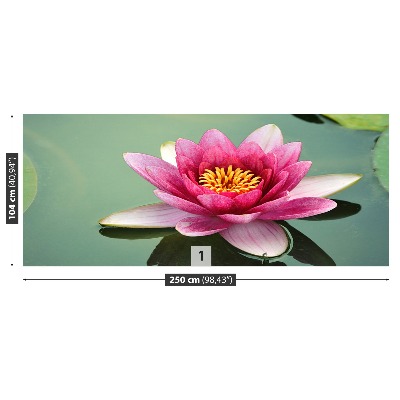 Stenska fototapeta Lotus cvet