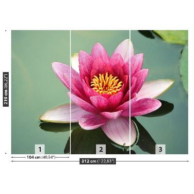 Stenska fototapeta Lotus cvet