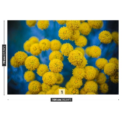 Stenska fototapeta Rumenimi cvetovi