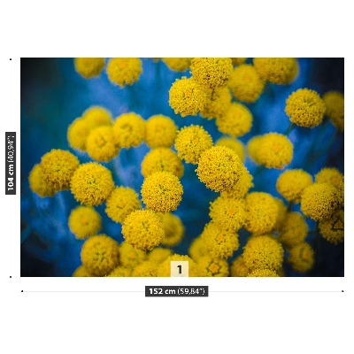 Stenska fototapeta Rumenimi cvetovi
