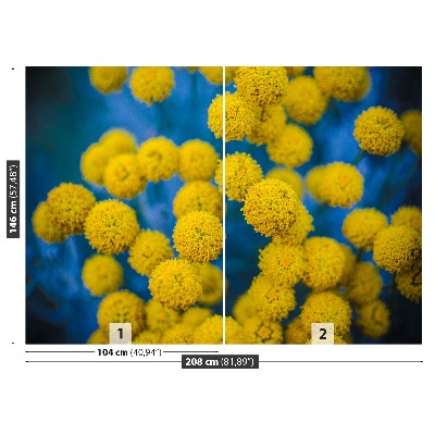 Stenska fototapeta Rumenimi cvetovi