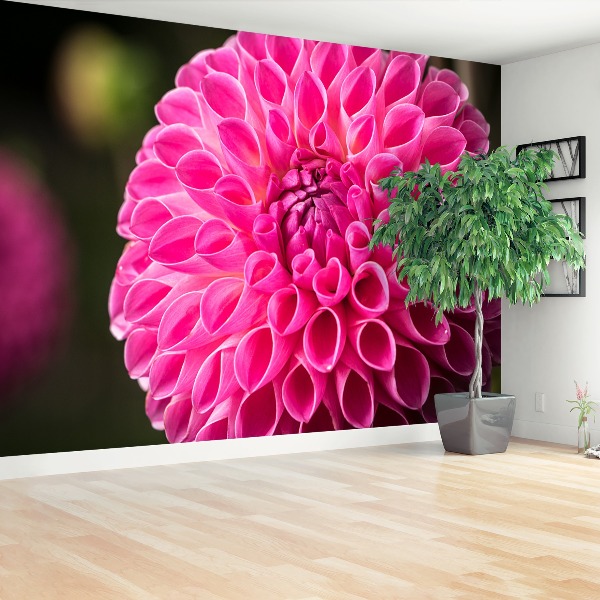 Stenska fototapeta Dahlia pink