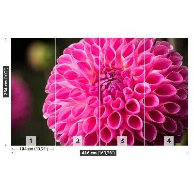 Stenska fototapeta Dahlia pink