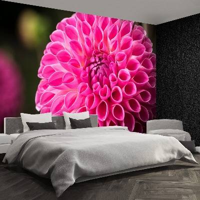 Stenska fototapeta Dahlia pink