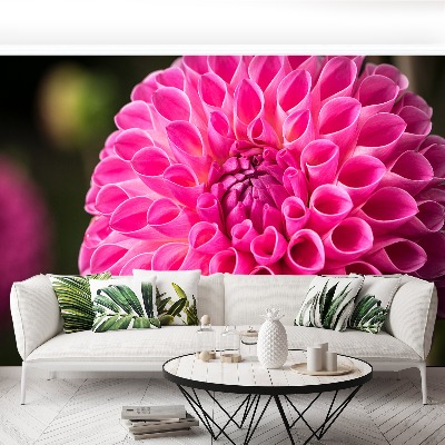 Stenska fototapeta Dahlia pink