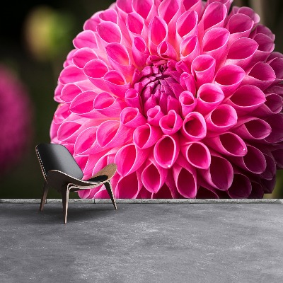 Stenska fototapeta Dahlia pink