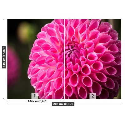 Stenska fototapeta Dahlia pink