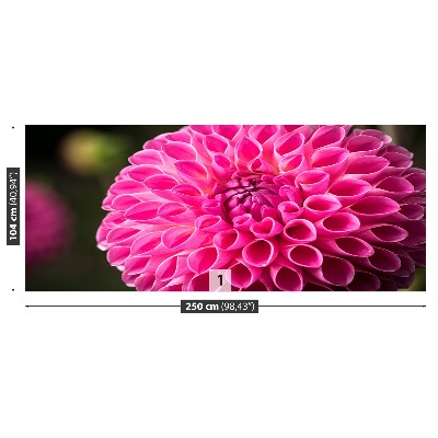 Stenska fototapeta Dahlia pink
