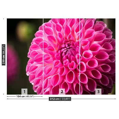 Stenska fototapeta Dahlia pink