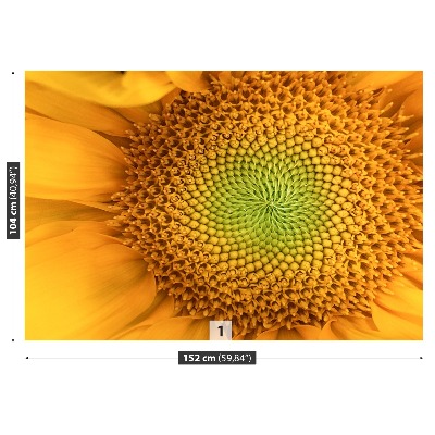 Stenska fototapeta Sončnica